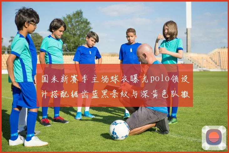 国米新赛季主场球衣曝光polo领设计搭配锯齿蓝黑条纹与深黄色队徽