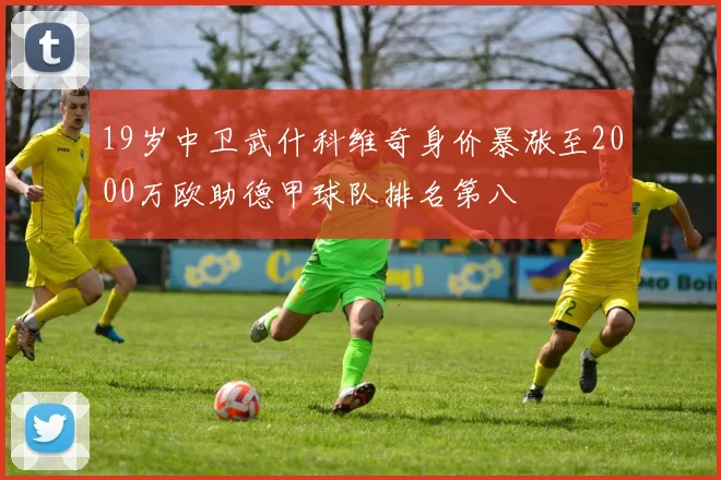 19岁中卫武什科维奇身价暴涨至2000万欧助德甲球队排名第八
