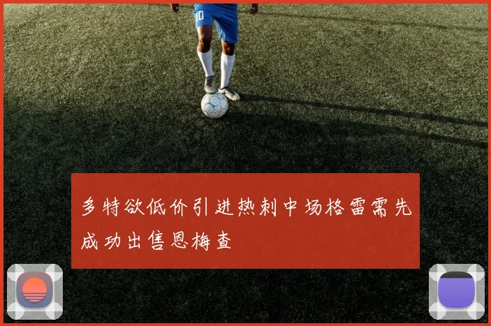 多特欲低价引进热刺中场格雷需先成功出售恩梅查