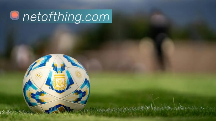 开云app网站登录发展历程